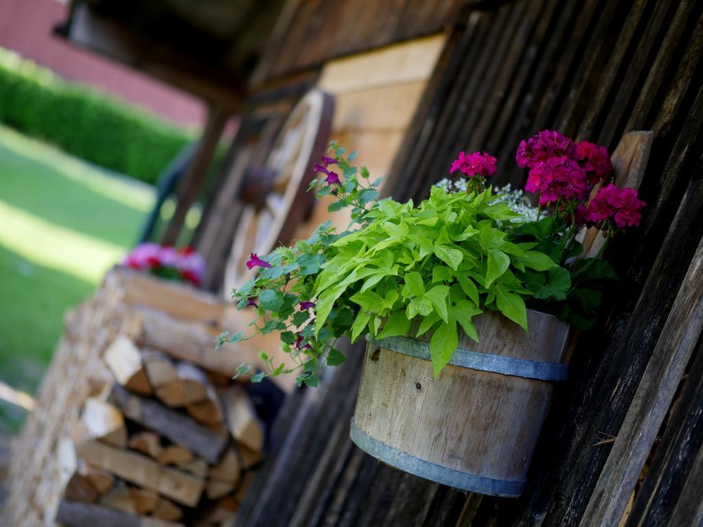 Apparthotel Ederfeld Mayrhofen Exterior photo